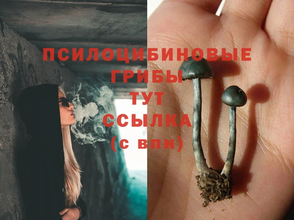 МДПВ Алексин