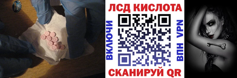 shop состав  Курчалой  ЛСД экстази ecstasy  где купить  