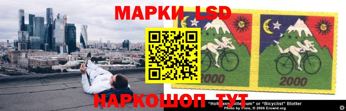 Курчалой  ЛСД экстази ecstasy  Вход с VPN  МЕГА tor  Лсд 25 экстази кислота 