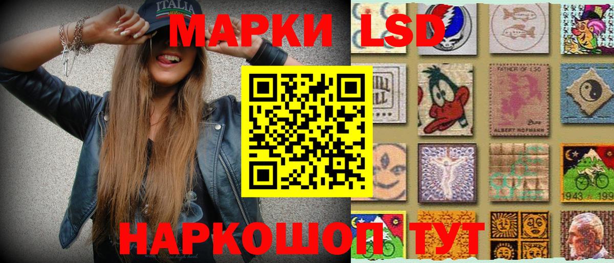 как найти наркотики  Вход с VPN  Курчалой  Наркотические марки 1,5мг 