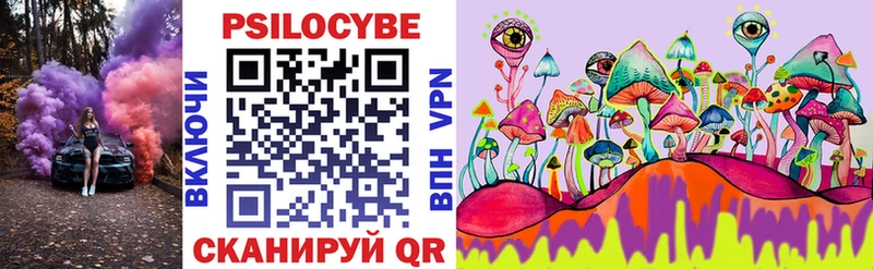 Галлюциногенные грибы Cubensis  Курчалой 