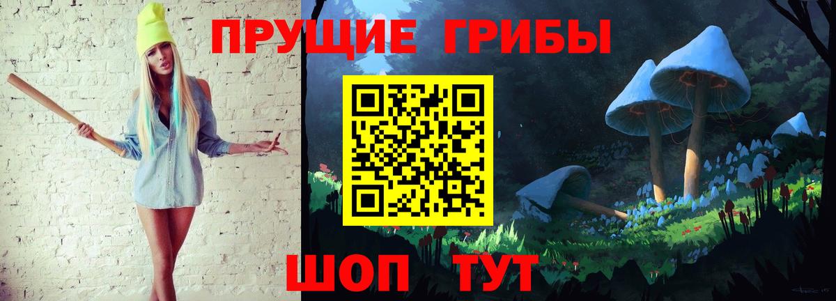 Галлюциногенные грибы Cubensis  Вход с VPN  Галлюциногенные грибы Cubensis  Курчалой 